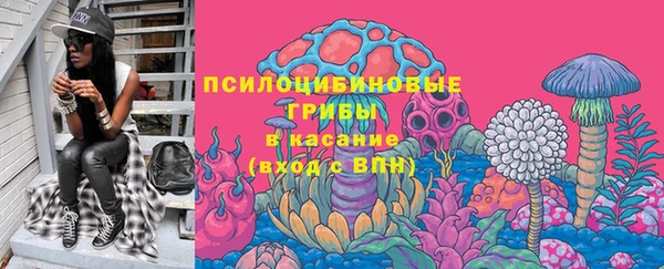 гидропоника Елабуга