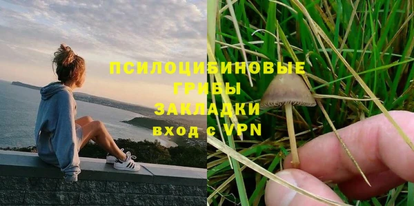 синтетический гашиш Заводоуковск