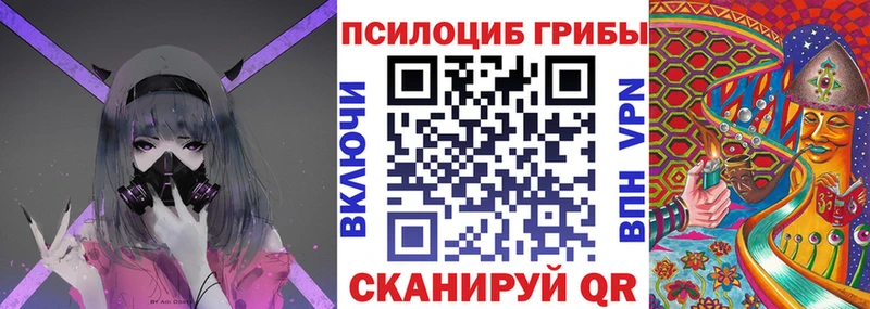 Псилоцибиновые грибы Psilocybine cubensis  кракен как войти  Макарьев 